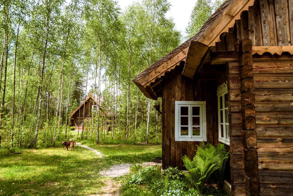 Vabalyne Guest House Vilkiskes Eksteriør bilde