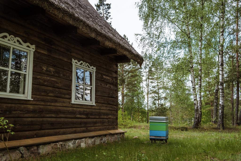 Vabalyne Guest House Vilkiskes Eksteriør bilde
